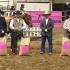 World of Mounted Shooting